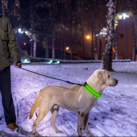 LED Dog Collar USB Rechargeable Adjustable Dog Safety Collar Night Safety Flashing Luminous Light up Collar (Size/Color: Green, Option: S)