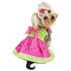 Juicy Watermelon Sundress with Large D