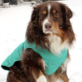 Alpine Extreme Cold Puffer Coat (Color: Arcadia, size: 3X-Large)