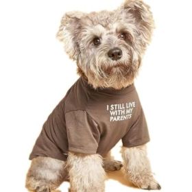 Pet Clothes Round Neck T-shirt (Option: Khaki-XL)